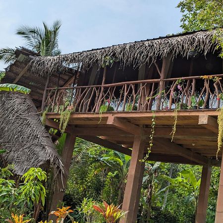 Sigiriya Rock View Tree House Vila Exterior foto