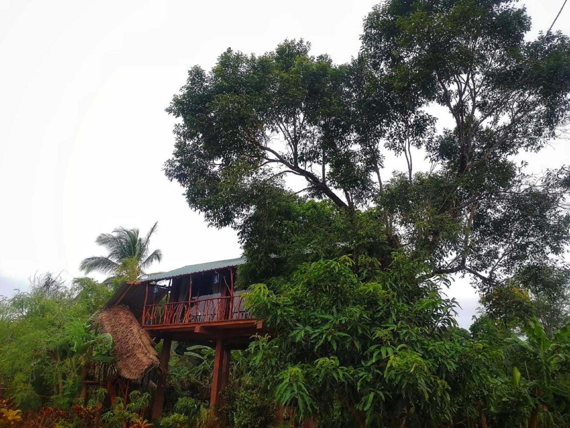 Sigiriya Rock View Tree House Vila Exterior foto