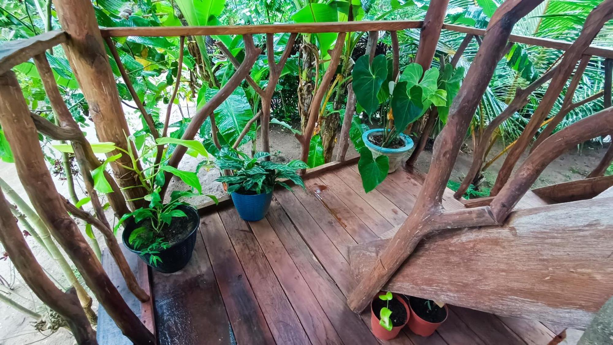 Sigiriya Rock View Tree House Vila Exterior foto