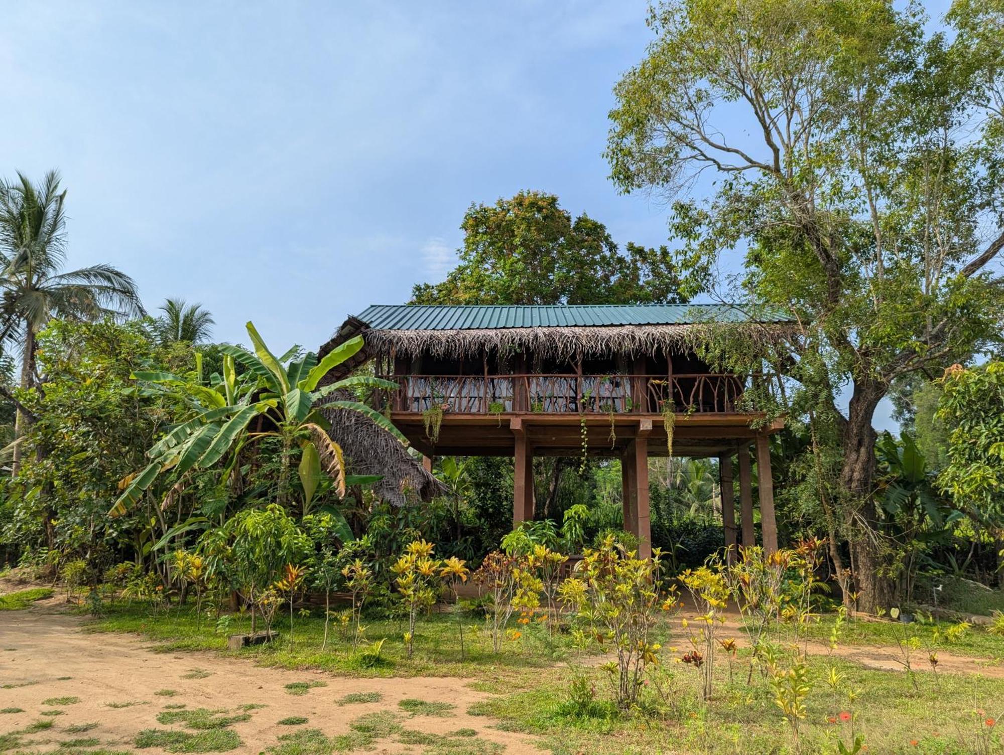 Sigiriya Rock View Tree House Vila Exterior foto
